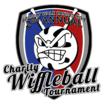 Project Walk-Kansas City Hosts Charity Wiffleball Tournament for...